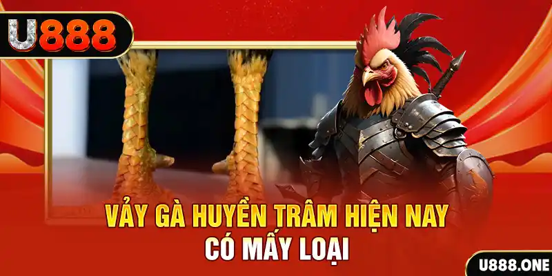 99 win xổ số bình định