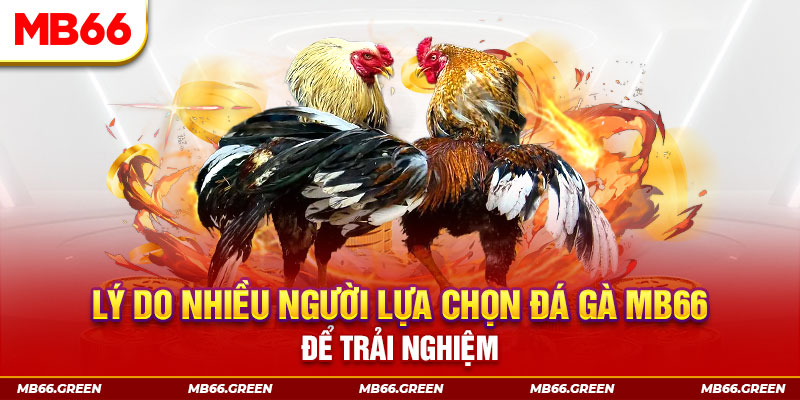 99 win đăng nhập liêng trực tiếp