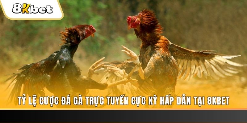 99 win đăng nhập mậu binh online